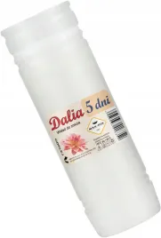 wklad-do-zniczy-dalia-5-17