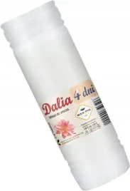 wklad-do-zniczy-dalia-4-20