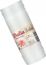 wklad-do-zniczy-dalia-3-20