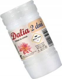 wklad-do-zniczy-dalia-2-20