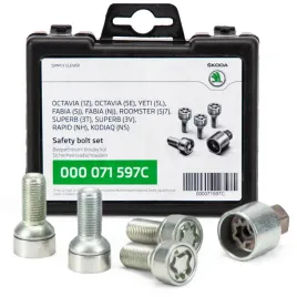 zestaw-srub-zabezpieczajacych-vw-skoda-seat-audi