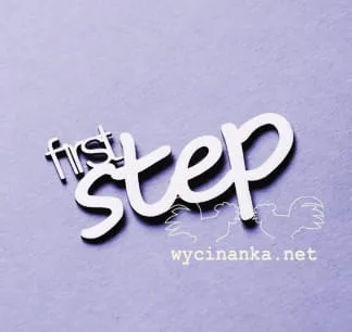 napis-first-step