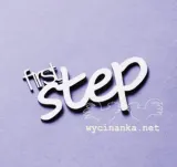 napis-first-step