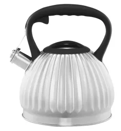 czajnik-na-indukcje-curly-25-l-satynowy-ambition