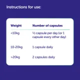 protexin-cobalaplex-60-kapsulek-witaminy-b9-b12-prepiotyk-kod-producenta-5027314499486