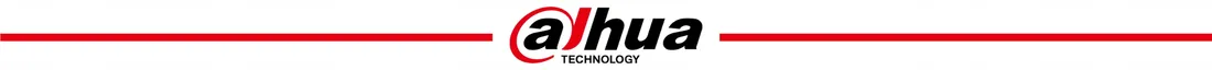 pilot-ara24-w2-868-dahua
