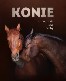 konie-pochodzenie-rasy-cechy
