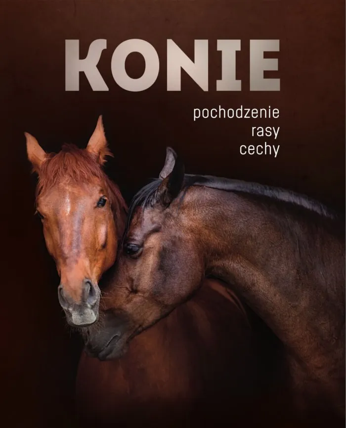 konie-pochodzenie-rasy-cechy-stan-nowy