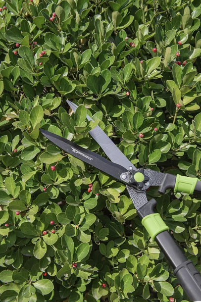 nozyce-do-zywoplotu-waga-z-opakowaniem-1-1-kg