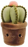 maskotka-kaktus-stan-nowy