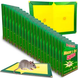 30x-pulapka-lepowa-lep-lapka-na-myszy-szczury-i-gryzonie-z-mocnym-klejem