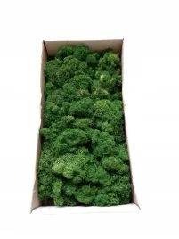 mech-chrobotek-pudelko-zielony-ciemny-300-gram