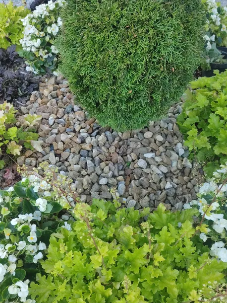 otoczak-kamien-ogrodowy-roznokolorowy-odcien-miodowy-16-32-20-kg-frakcja-mm-16-30-mm