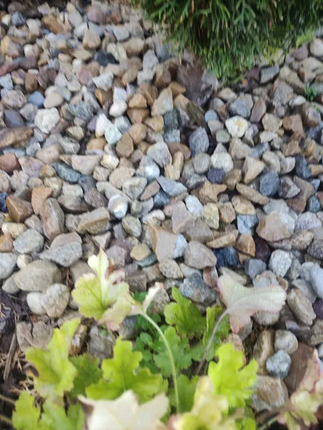 otoczak-kamien-ogrodowy-roznokolorowy-odcien-miodowy-16-32-20-kg-stan-opakowania-zastepcze