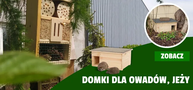 DOMKI DLA OWADÓW, DOMEK DLA JEZY