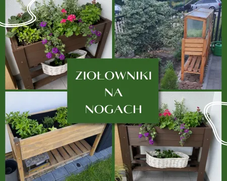ZIOLOWNIKI NA NOGACH