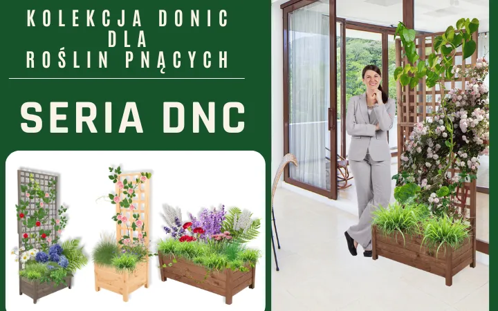 DONICE Z PERGOLĄ