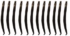 wanilia-laski-12-szt-12-14cm-laska-wanilii-jakosc1