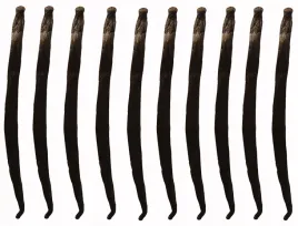 wanilia-laski-10-szt-10-14-cm-laska-wanilii-jakosc-1-swieze-wilgotne-laski