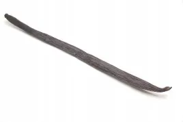wanilia-laski-laska-wanilii-8-19-cm-i-gat-bourbon-madagaskar-grube