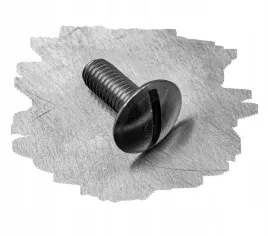 m6x50-sruba-leb-grzybkowy-nierdzewna-a2-9330-1