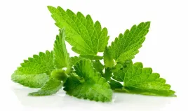 hydrolat-z-miety-pieprzowej-peppermint-1l