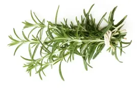 hydrolat-z-czabru-bio-savory-hydrolate-1000-ml