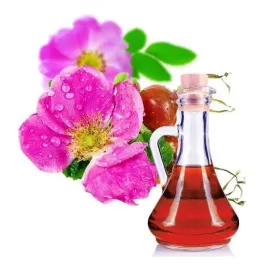 olej-z-dzikiej-rozy-nierafinowany-zimnotloczony-100-ml