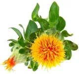 olej-z-krokosza-barwierskiego-organic-100-ml