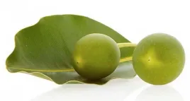 olej-tamanu-nierafinowany-zimnotloczony-100-ml