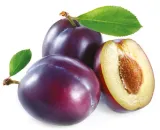 olej-sliwkowy-z-pestek-nierafinowany-100-ml