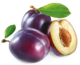 olej-sliwkowy-z-pestek-nierafinowany-50-ml