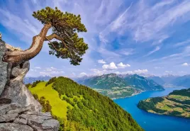 puzzle-1000-ukladanka-krajobraz-gory-las-jezioro-uri-szwajcaria-9-castor