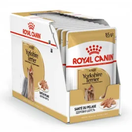 royal-canin-mini-yorkshire-12x85g
