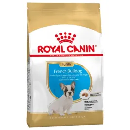 royal-mini-french-bulldog-puppy-3kg