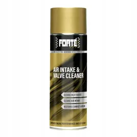 forte-air-intake-and-valve-cleaner