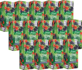 x14-herbapol-lesne-co-nieco-poziomka-jezyna-20tb