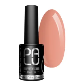 palu-lakier-hybrydowy-tbilisi-tb6-11-g