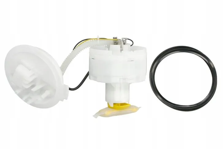 pompa-pal-audi-1-8t-3-0-00-magneti-marelli-313011313310-producent-czesci-magneti-marelli