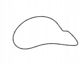 uszczelka-pompy-wody-mb-actros-mp4-oe-4722010280