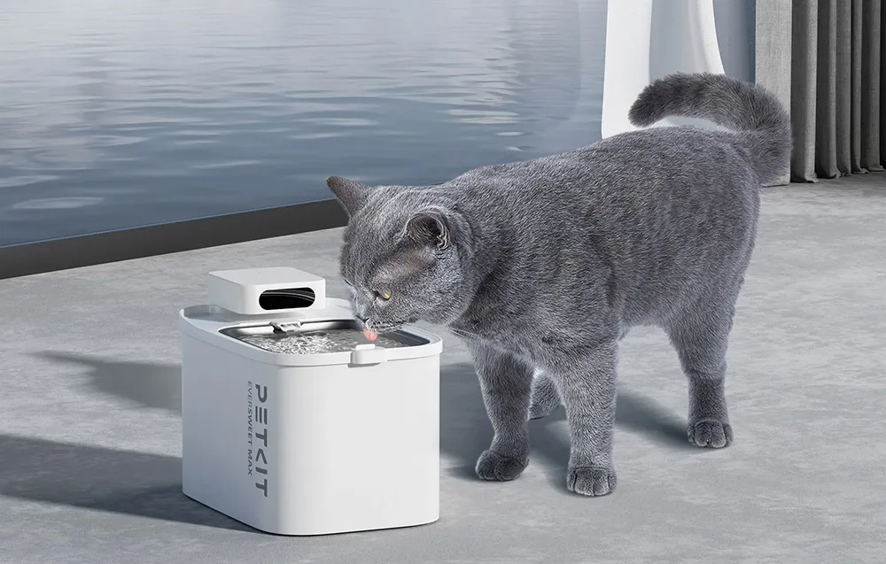 smart-pet-fountain-petkit-eversweet-max
