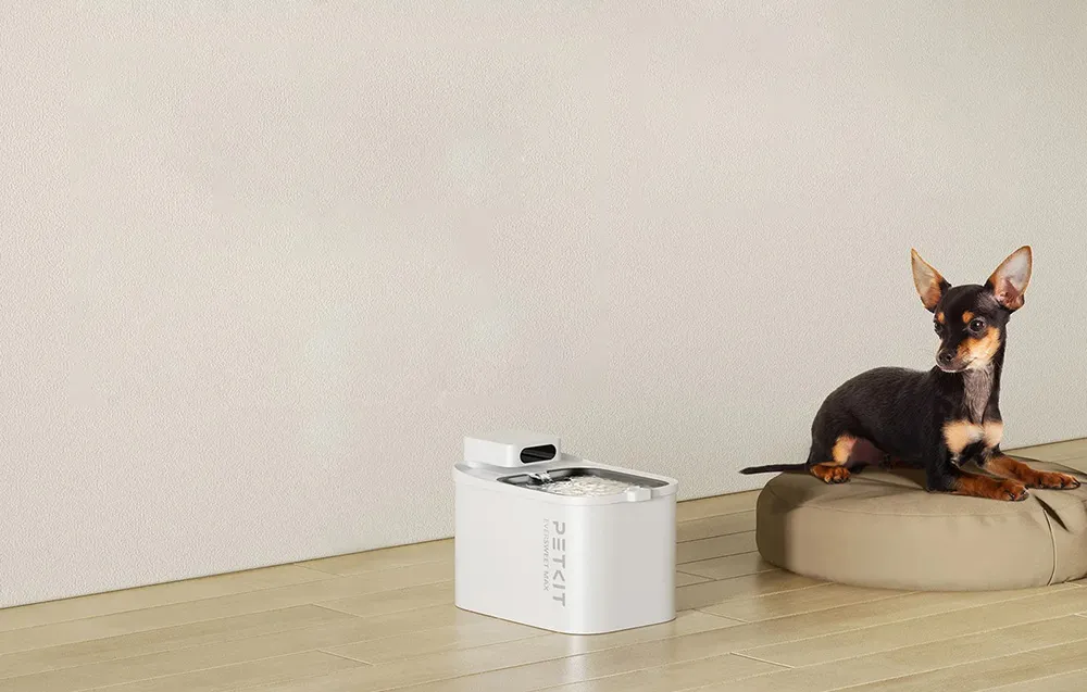 smart-pet-fountain-petkit-eversweet-max