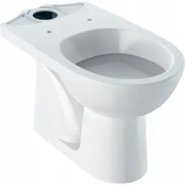 geberit-selnova-miska-wc-do-spluczki-nasadzanej-lejowa-odplyw-pionowy
