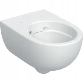 geberit-wiszaca-miska-wc-selnova-premium-lejowa-ukryte-mocowania-rimfree