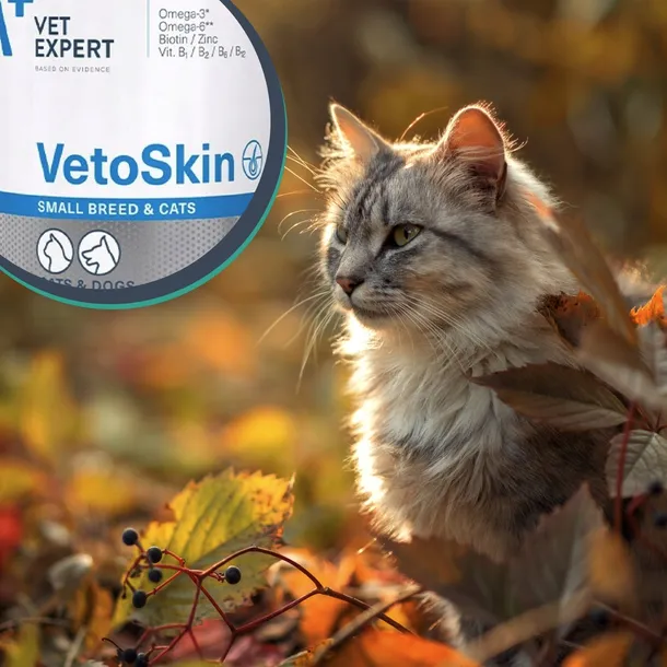 vetexpert-vetoskin-small-60-kaps-przeznaczenie-dla-psa-i-kota