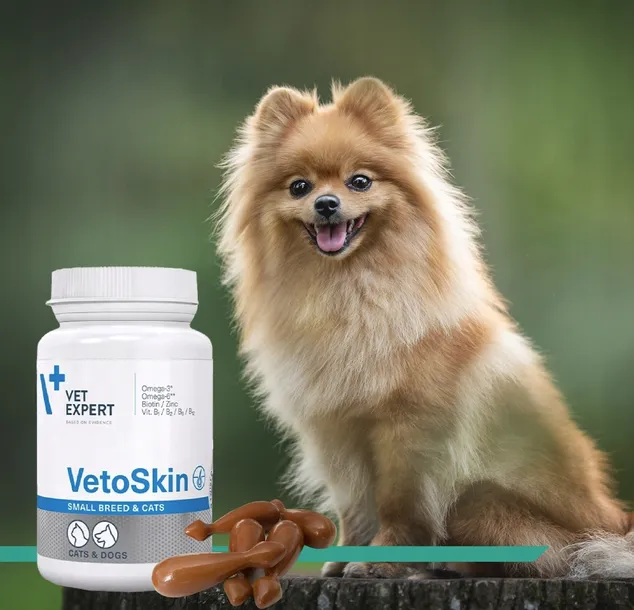 vetexpert-vetoskin-small-60-kaps-stan-opakowania-oryginalne