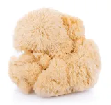 encann-lion-s-mane-extract-50-ml-pojemnosc-50-ml