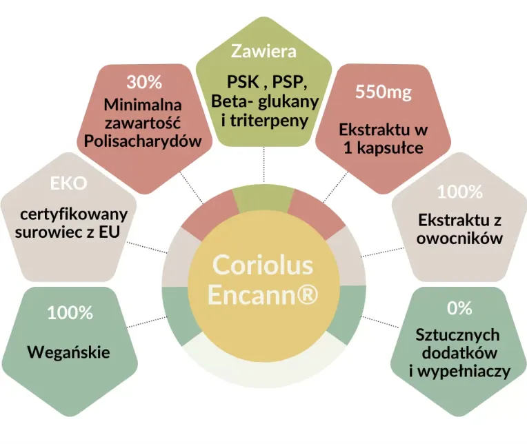 encann-coriolus-90-kapsulek-postac-kapsulki