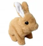 krolik-interaktywny-bialy-certyfikaty-opinie-atesty-ce