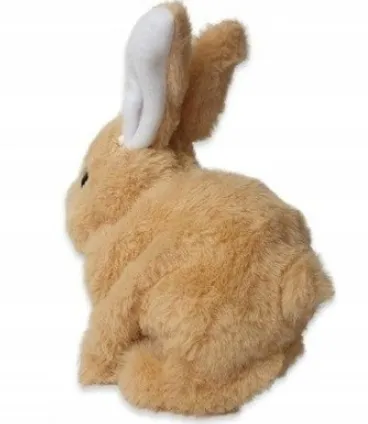 krolik-interaktywny-bialy-kolor-dominujacy-biel